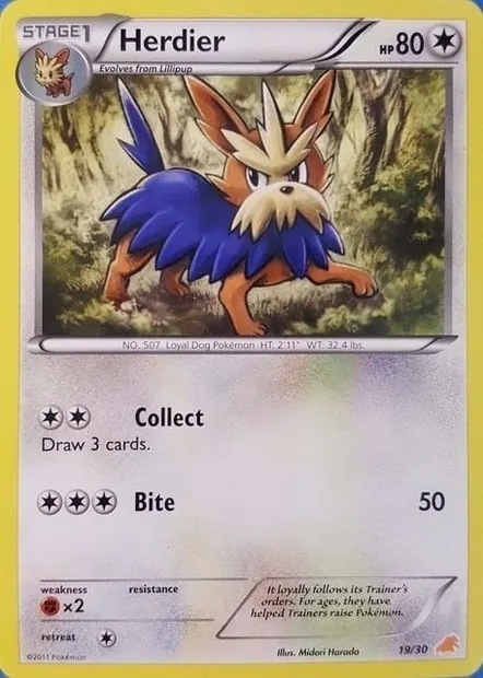 Herdier, Pokémon card TK5E 019 — BW Trainer Kit Excadrill set