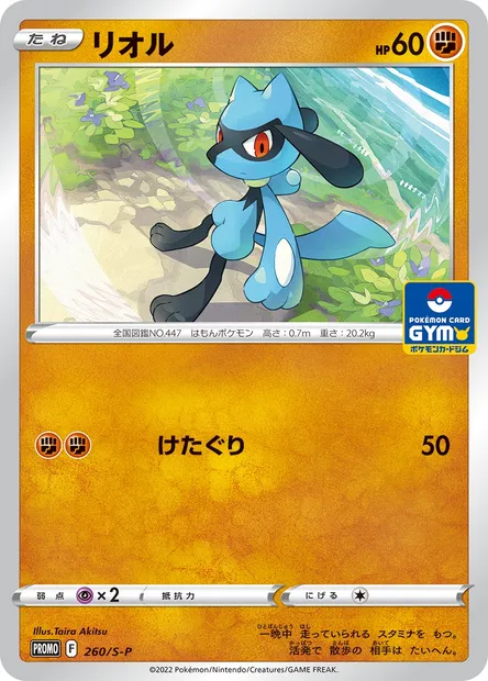 Riolu, carte Pokémon S-P 260 — extension S-P: Sword & Shield Promos