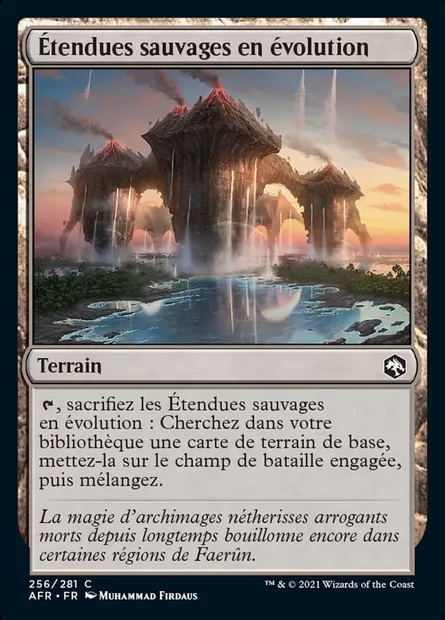Étendues sauvages en évolution, carte Magic AFR 256 — extension Forgotten Realms: Aventures dans les Royaumes Oubliés