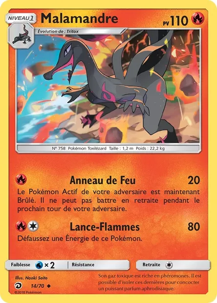 Malamandre, carte Pokémon DRM 14 — extension Majesté Des Dragons