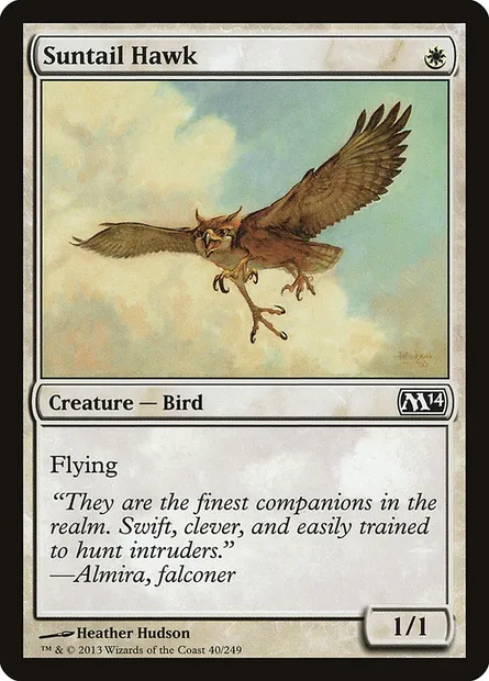 Suntail Hawk, Magic card M14 40 — Magic 2014 set