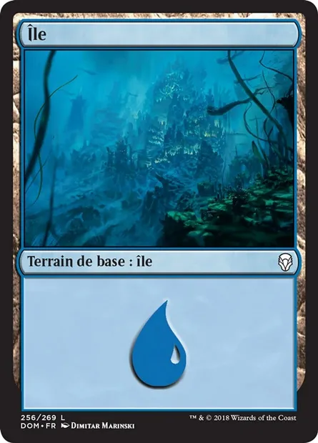 Île, carte Magic DOM 256 — extension Dominaria