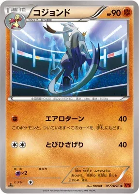 Shaofouine, carte Pokémon XY3 055 — extension Rising Fist