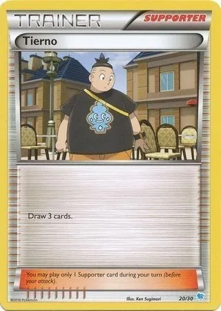 Tierno, carte Pokémon TK9S 020 — extension XY Trainer Kit: Pikachu Libre & Suicune (Suicune)