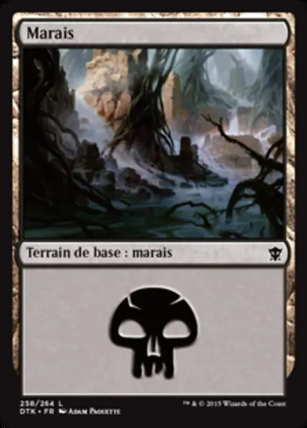 marais, carte Magic DTK 258 — extension Les Dragons de Tarkir
