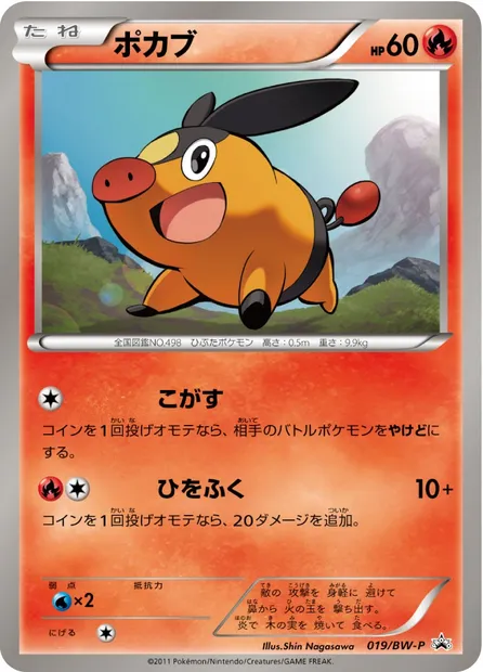Tepig, Pokémon card BWP 019 — BW Promos set