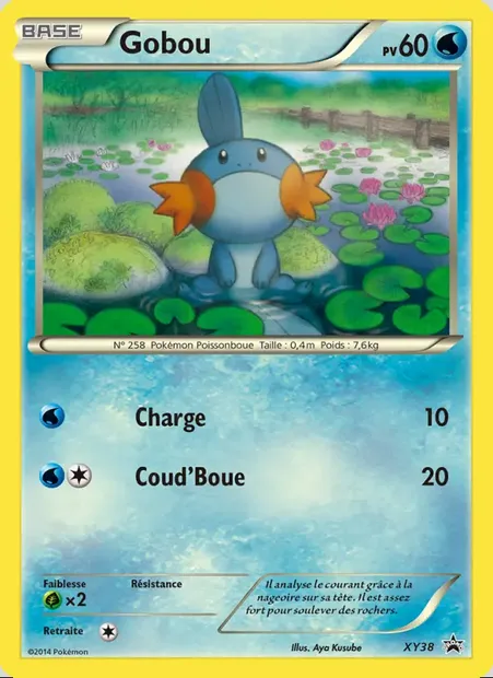Gobou, carte Pokémon XY 38 — extension Promo XY