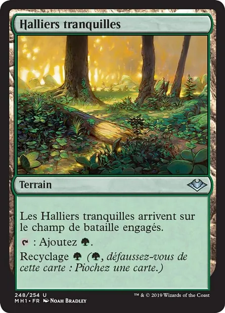 Halliers tranquilles, carte Magic MH1 248 — extension Horizons du Modern