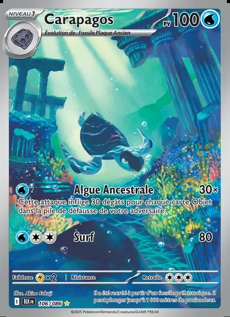 Carapagos, carte Pokémon BLK 106 — extension Foudre Noire