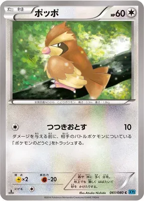 Roucool, carte Pokémon XY2 061 — extension Wild Blaze