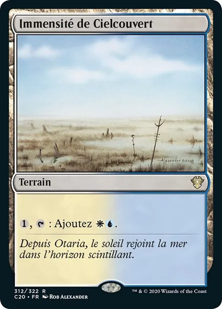 Immensité de Cielcouvert, carte Magic C20 312 — extension Commander 2020
