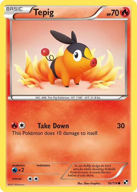 Tepig, Pokémon card BLW 16 — Black & White set