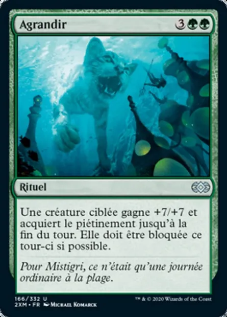 Agrandir, carte Magic 2XM 166 — extension Double Masters