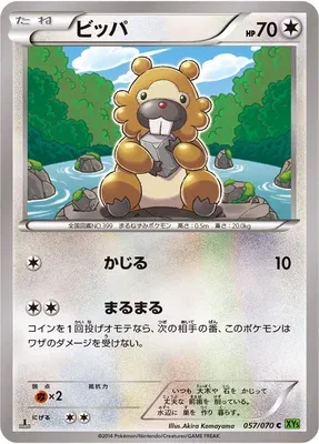 Bidoof, Pokémon card XY5B 057 — Tidal Storm set