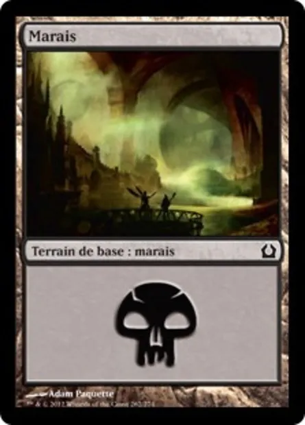 Marais, carte Magic RTR 262 — extension Retour à Ravnica