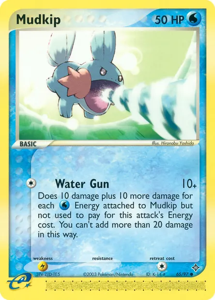Mudkip, Pokémon card DR 65 — Dragon set