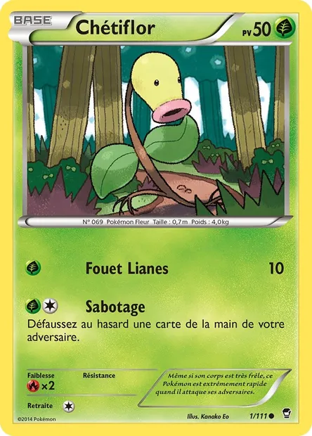 Chétiflor, carte Pokémon FFI 1 — extension Poings Furieux