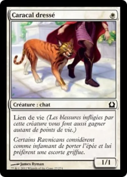 Caracal dressé, carte Magic RTR 27 — extension Retour à Ravnica