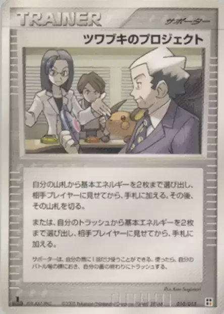 Mr. Stone's Project, Pokémon card F-QCP 010 — Fighting Quick Construction Pack set