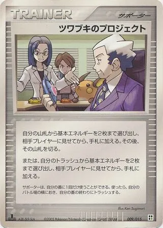 Mr. Stone's Project, Pokémon card G-QCP 009 — Grass Quick Construction Pack set