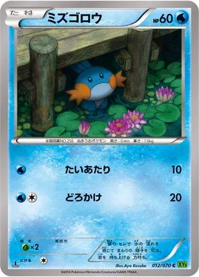 Mudkip, Pokémon card XY5B 012 — Tidal Storm set