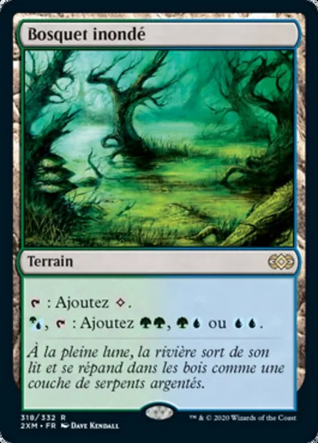 Bosquet inondé, carte Magic 2XM 318 — extension Double Masters