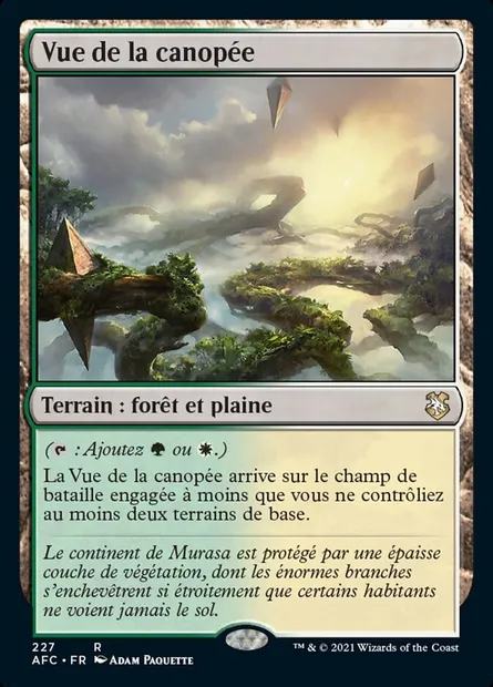 Vue de la canopée, carte Magic AFC 227 — extension Forgotten Realms Commander