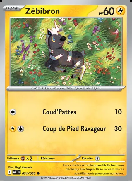Zébibron, carte Pokémon WHT 031 — extension Flamme Blanche