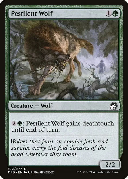 Pestilent Wolf, Magic card MID 192 — Innistrad: Midnight Hunt set