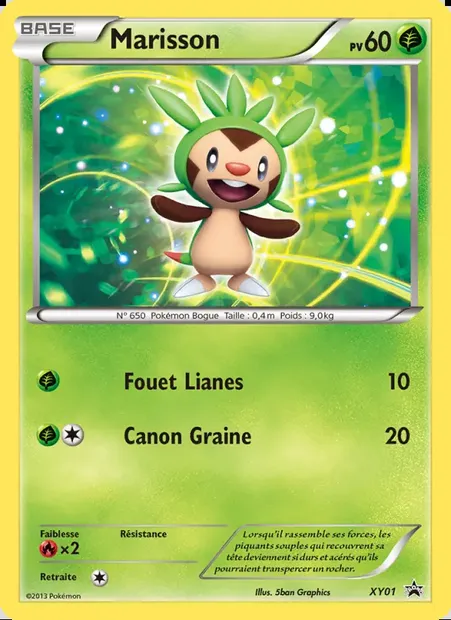Marisson, carte Pokémon XY 01 — extension Promo XY
