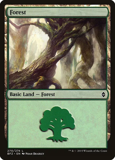 Forest, Magic card BFZ 270a — Battle for Zendikar set