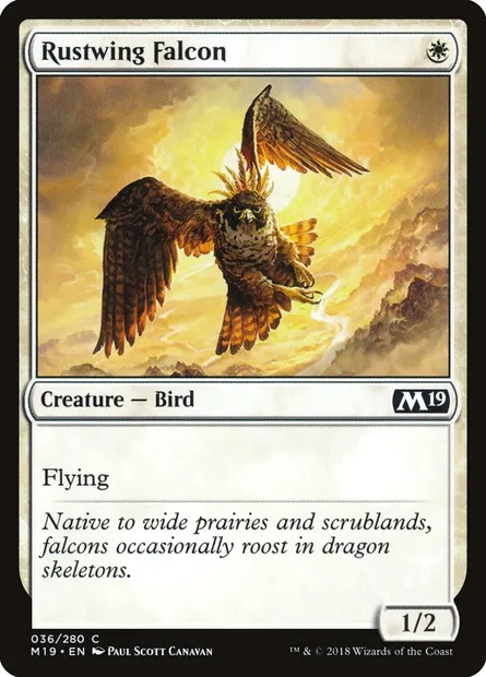 Rustwing Falcon, Magic card M19 36 — Core Set 2019 set