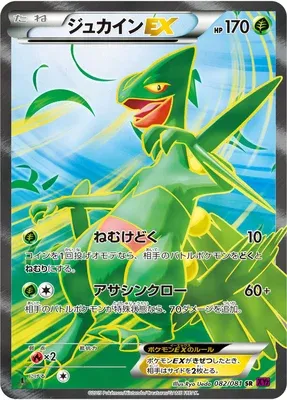 Sceptile-EX, Pokémon card XY7 082 — Bandit Ring set