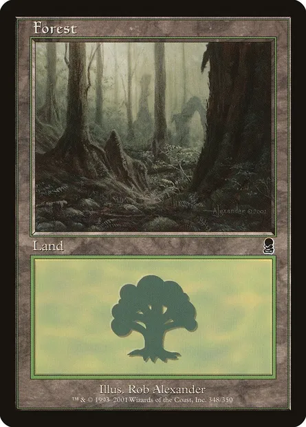 Forest, Magic card ODY 348 — Odyssey set