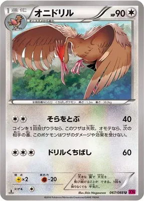 Fearow, Pokémon card XY4 067 — Phantom Gate set