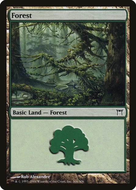Forest, Magic card CHK 306 — Champions of Kamigawa set