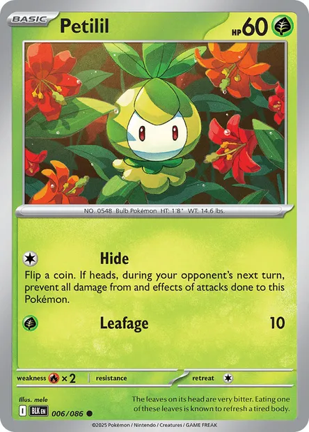Petilil, Pokémon card BLK 006 — Black Bolt set