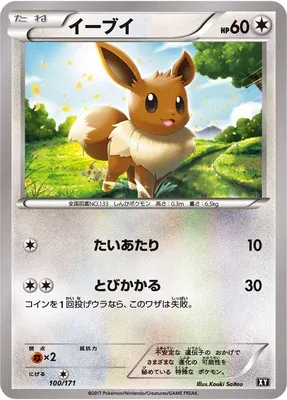 Évoli, carte Pokémon XY 100 — extension The Best of XY