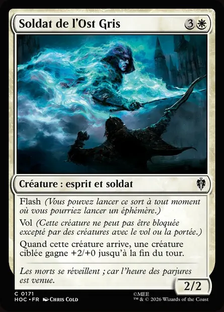 Soldat de l'Ost Gris, carte Magic HOC 171 — extension The Hobbit Eternal