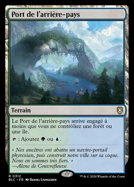 Port de l'arrière-pays, carte Magic BLC 312 — extension Bloomburrow Commander