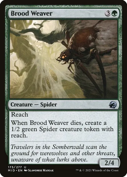 Brood Weaver, Magic card MID 173 — Innistrad: Midnight Hunt set