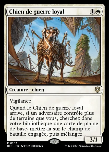 Chien de guerre loyal, carte Magic BLC 107 — extension Bloomburrow Commander