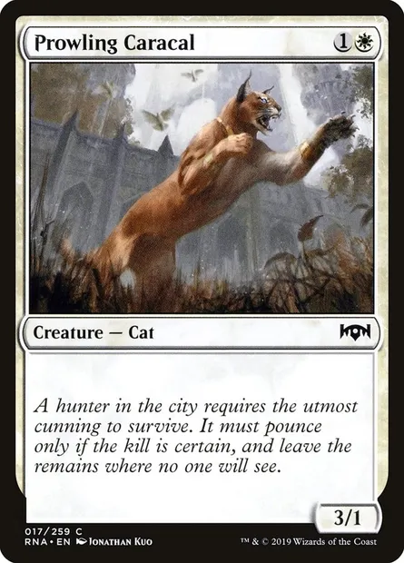 Prowling Caracal, Magic card RNA 17 — Ravnica Allegiance set