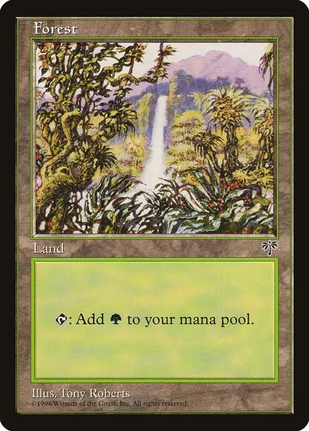 Forest, Magic card MIR 348 — Mirage set