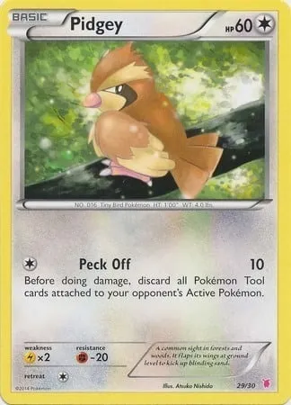 Roucool, carte Pokémon TK7B 029 — extension XY Trainer Kit: Wigglytuff