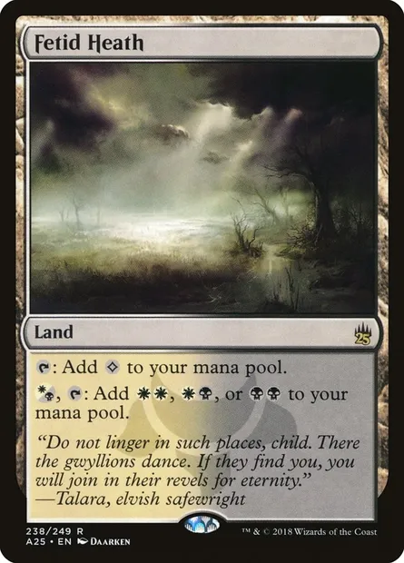 Fetid Heath, Magic card A25 238 — Masters 25 set