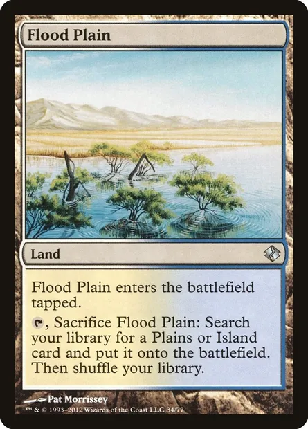 Plaine inondée, carte Magic DDI 34 — extension Duel Decks: Venser vs. Koth