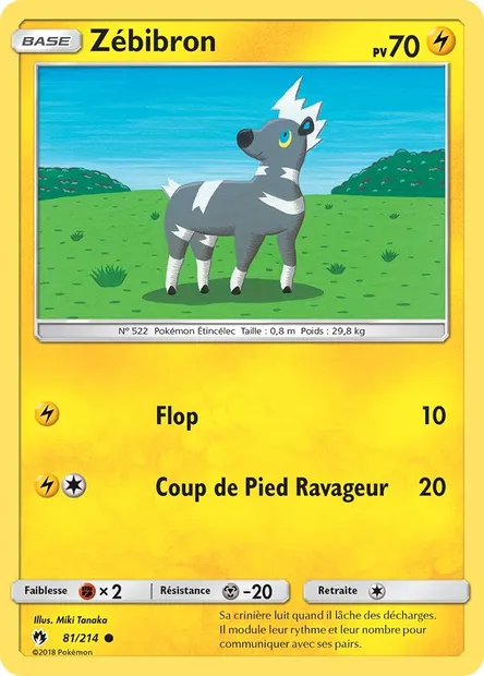 Zébibron, carte Pokémon LOT 81 — extension Tonnerre Perdu