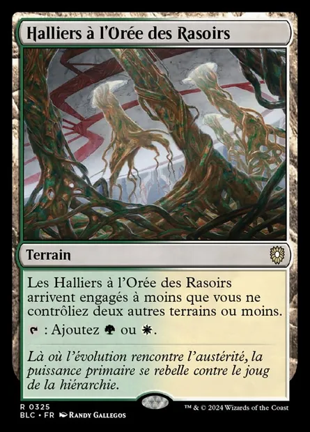 Halliers à l'Orée des Rasoirs, carte Magic BLC 325 — extension Bloomburrow Commander