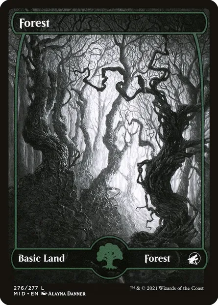Forest, Magic card MID 276 — Innistrad: Midnight Hunt set